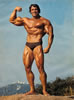 arnold_schwarzenegger_002.jpg