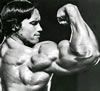 arnold_schwarzenegger_005.jpg