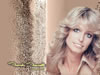 thumbnails/farrah_fawcett_wallpaper_1024x768_004.jpg