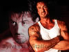 thumbnails/sylvester_stallone_wallpaper_1024x768_001.jpg